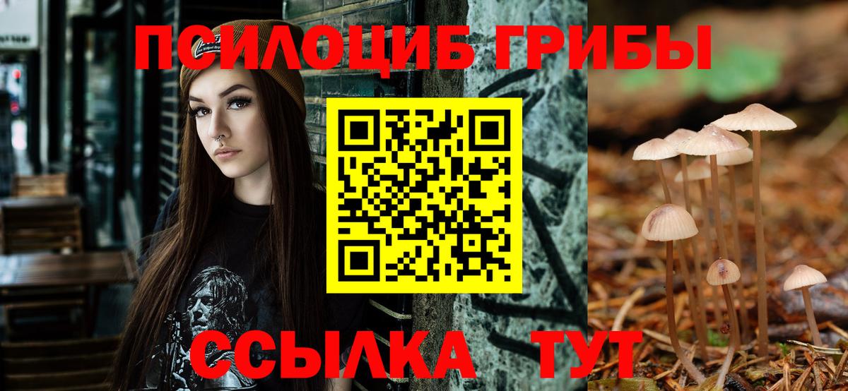 Псилоцибиновые грибы Psilocybe Невинномысск