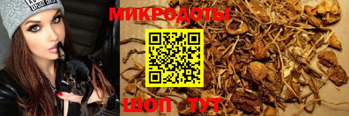 что такое наркотик  Галлюциногенные грибы ЛСД  Вход с VPN  Псилоцибиновые грибы Psilocybine cubensis  Невинномысск 